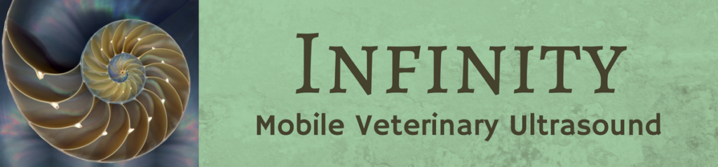 Infinity MVU Logo